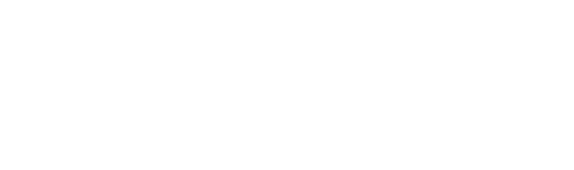 Distanceteam im SC DHfK Leipzig e.V. Logo